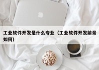 工業(yè)軟件開(kāi)發(fā)是什么專(zhuān)業(yè)（工業(yè)軟件開(kāi)發(fā)前景如何）