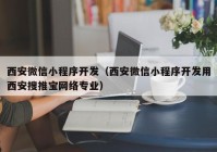 西安微信小程序開(kāi)發(fā)（西安微信小程序開(kāi)發(fā)用西安搜推寶網(wǎng)絡(luò)專業(yè)）